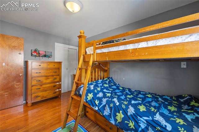 bedroom with wood-type flooring and a closet