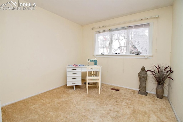 view of carpeted office space