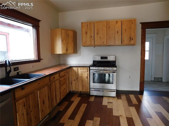 kitchen featuring dark wood-type flooring, sink, and stainless steel appliances