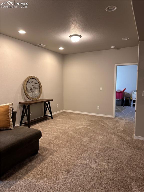 sitting room with a textured ceiling and carpet