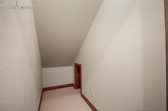 interior space featuring vaulted ceiling, a textured ceiling, and carpet flooring