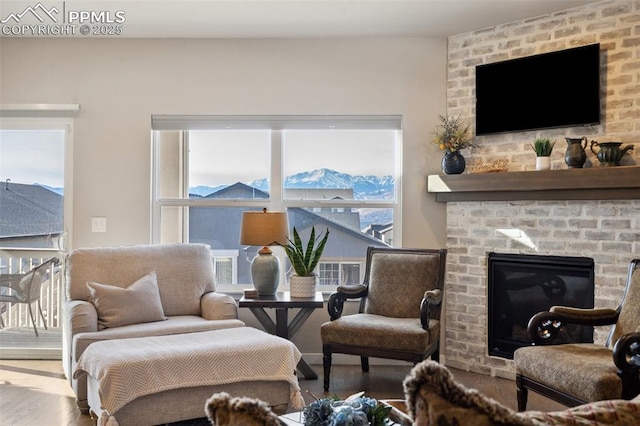 living room featuring hardwood / wood-style flooring and a fireplace