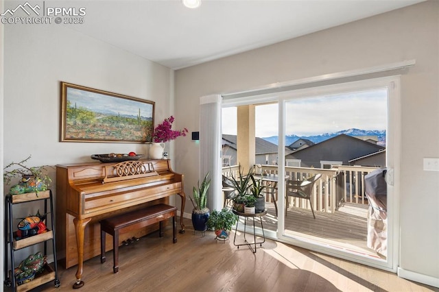 misc room with hardwood / wood-style flooring and a mountain view