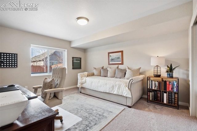 view of carpeted bedroom