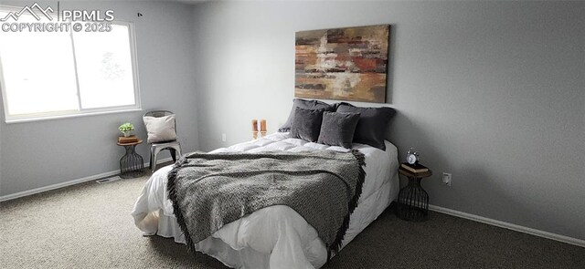 carpeted bedroom featuring multiple windows