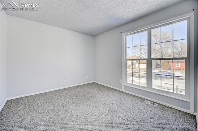 empty room with a wealth of natural light, a textured ceiling, and carpet