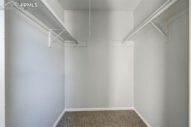 spacious closet featuring carpet floors