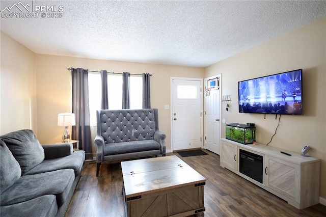 living room featuring a textured ceiling and dark hardwood / wood-style flooring