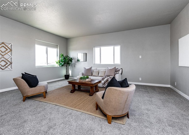 carpeted living room with a textured ceiling