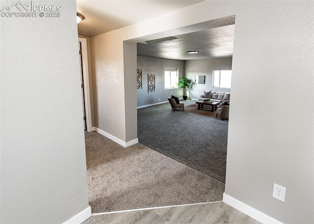 hall with carpet flooring and a textured ceiling