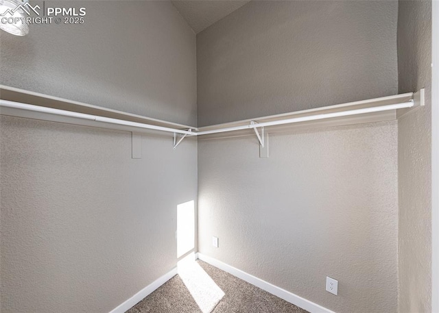 walk in closet featuring carpet flooring