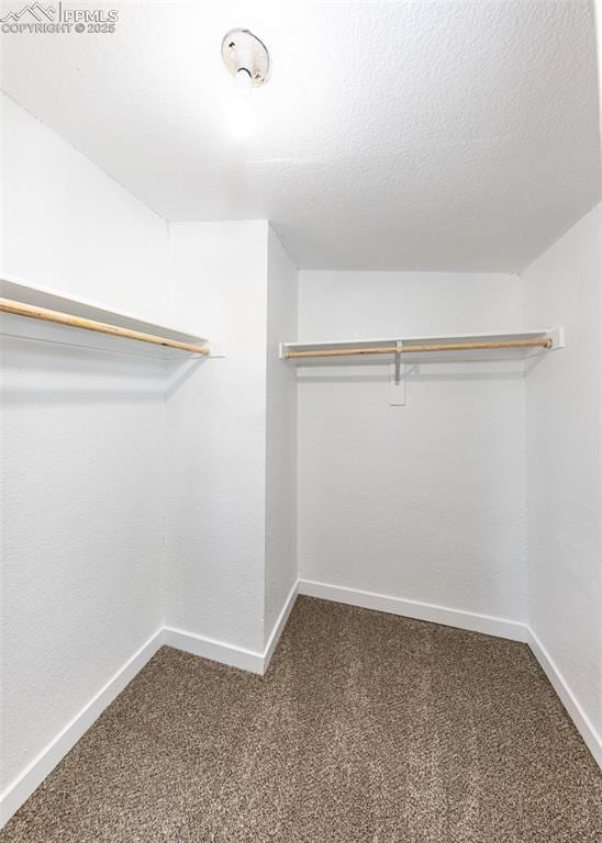 walk in closet with carpet flooring