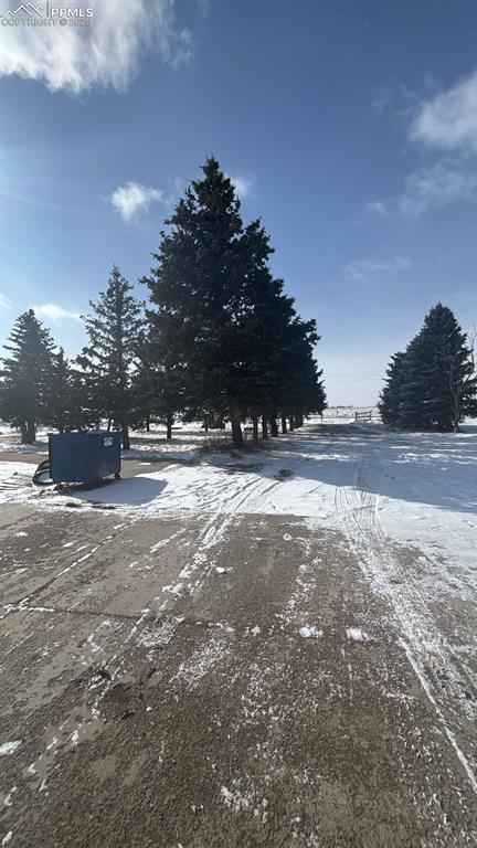 view of snowy yard