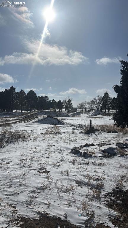 view of snowy yard