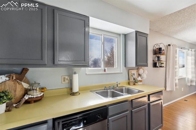 kitchen featuring light hardwood / wood-style floors, stainless steel dishwasher, gray cabinets, and sink