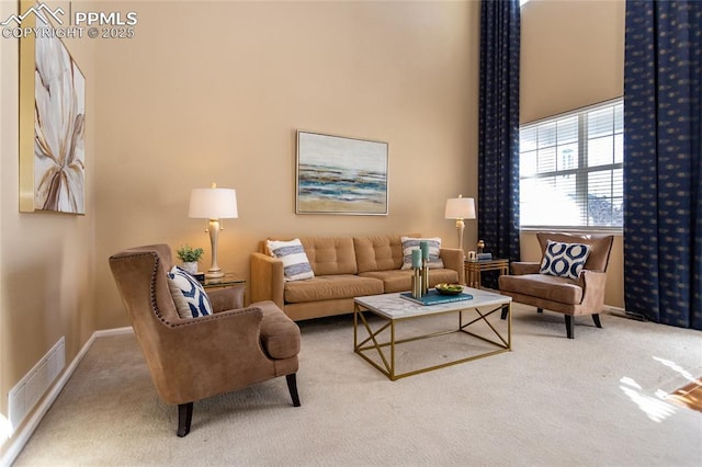 living room featuring carpet flooring