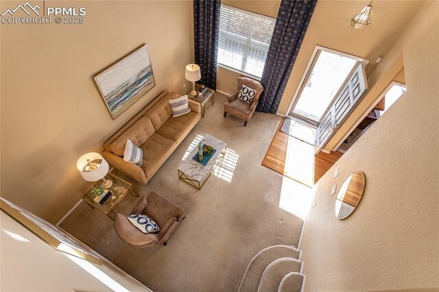 living room featuring hardwood / wood-style flooring