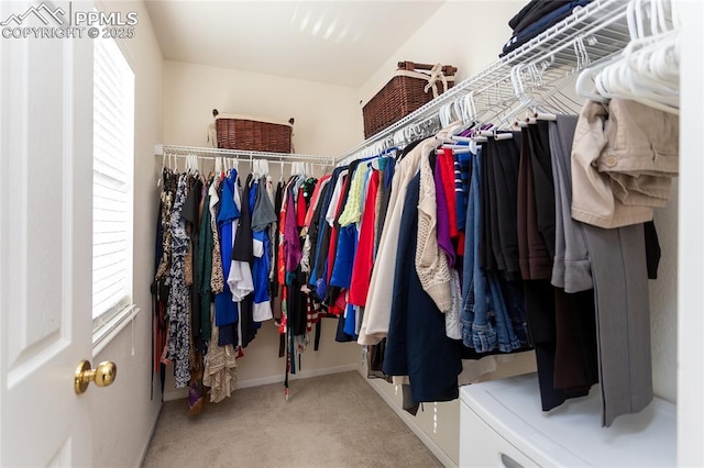 spacious closet featuring light colored carpet