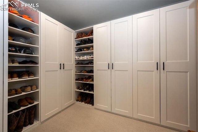 view of walk in closet