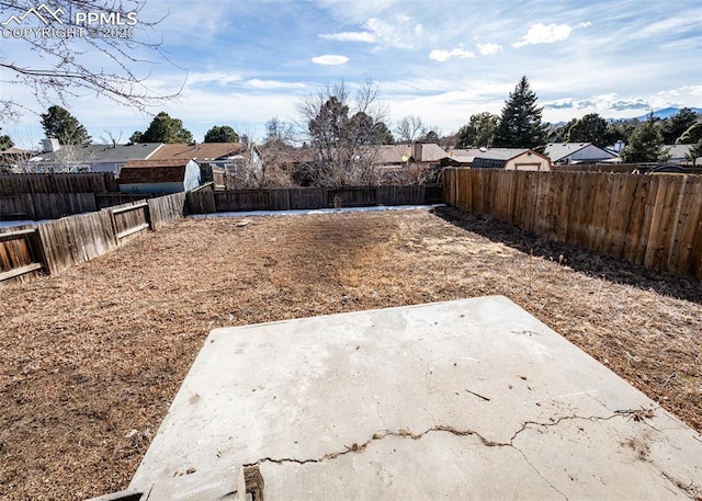 view of yard featuring a patio area