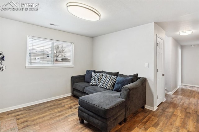 living room featuring hardwood / wood-style floors