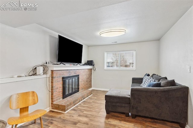 living room featuring a fireplace and wood-type flooring