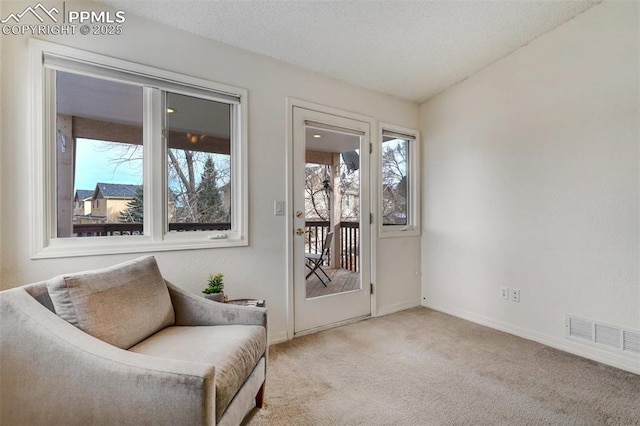 living area with a wealth of natural light, light colored carpet, and a textured ceiling