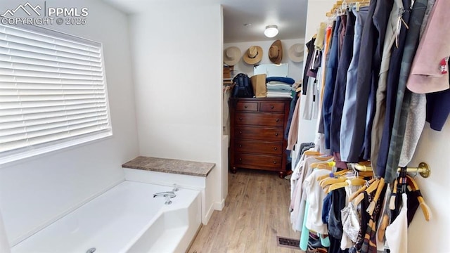 spacious closet with light hardwood / wood-style floors