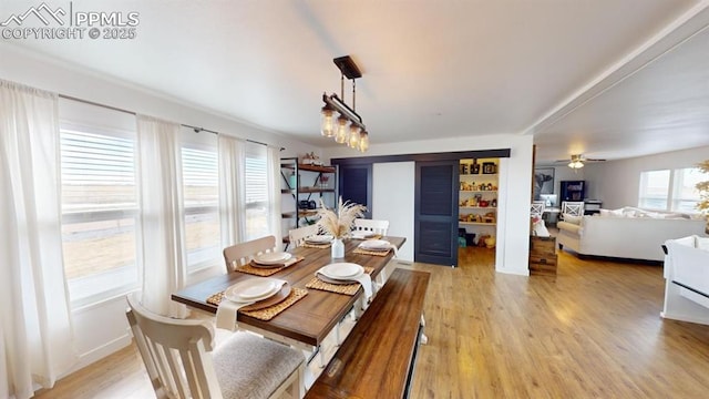 dining space with ceiling fan and light wood-type flooring