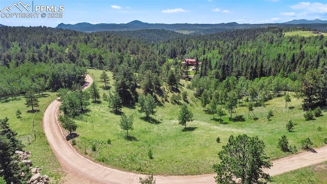 TBD Schubarth Trl, Woodland Park, CO 80863