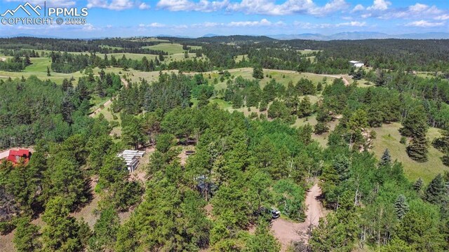 TBD Schubarth Trl, Woodland Park, CO 80863
