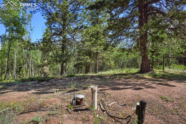 TBD Schubarth Trl, Woodland Park, CO 80863
