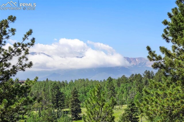 TBD Schubarth Trl, Woodland Park, CO 80863