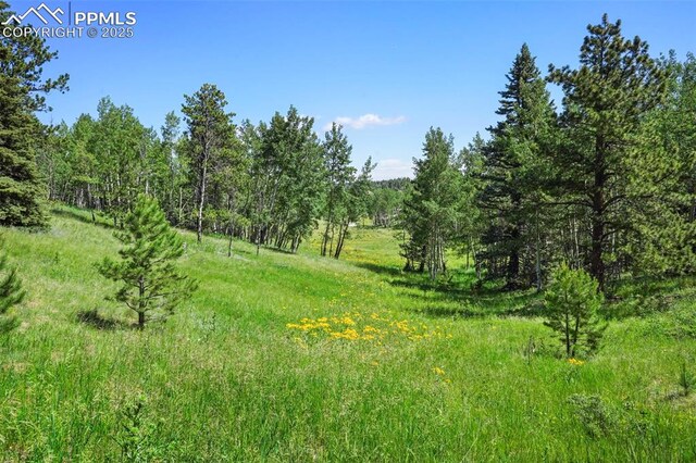 TBD Schubarth Trl, Woodland Park, CO 80863