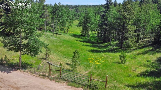 TBD Schubarth Trl, Woodland Park, CO 80863