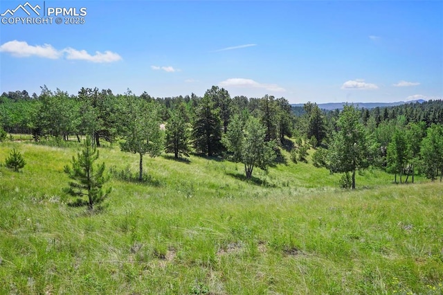 TBD Schubarth Trl, Woodland Park, CO 80863