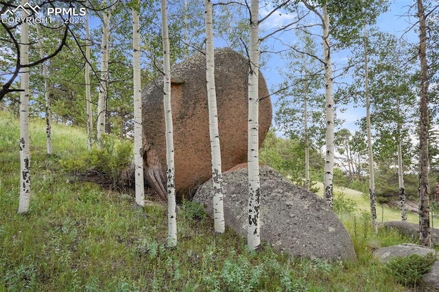 TBD Schubarth Trl, Woodland Park, CO 80863