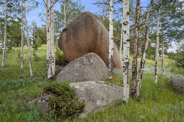 TBD Schubarth Trl, Woodland Park, CO 80863