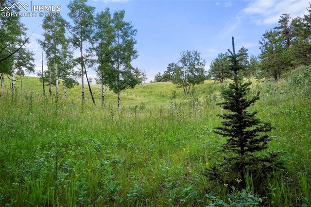 TBD Schubarth Trl, Woodland Park, CO 80863