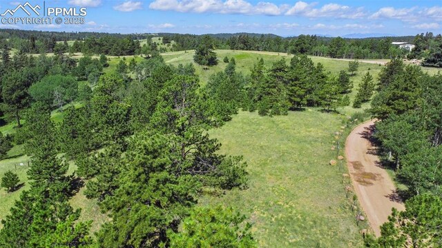 TBD Schubarth Trl, Woodland Park, CO 80863