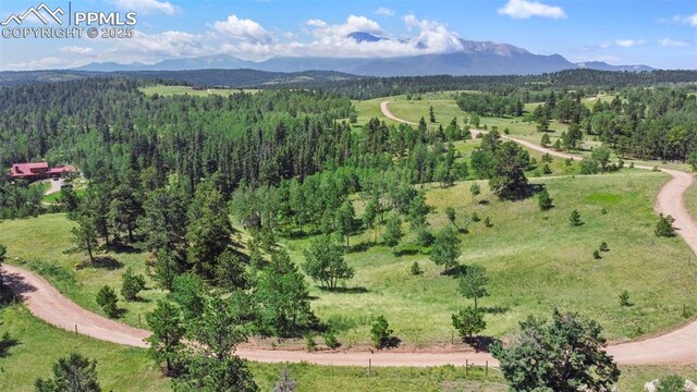 TBD Schubarth Trl, Woodland Park, CO 80863