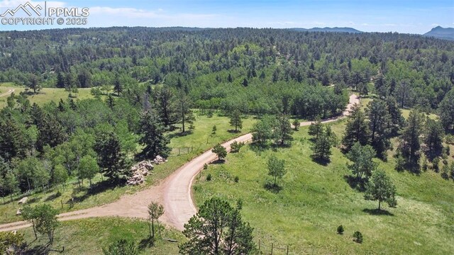 TBD Schubarth Trl, Woodland Park, CO 80863