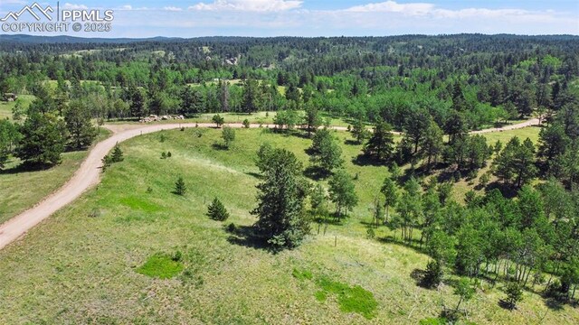 TBD Schubarth Trl, Woodland Park, CO 80863