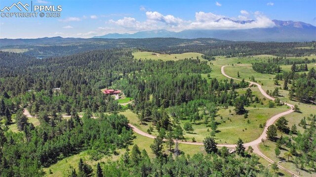 TBD Schubarth Trl, Woodland Park, CO 80863