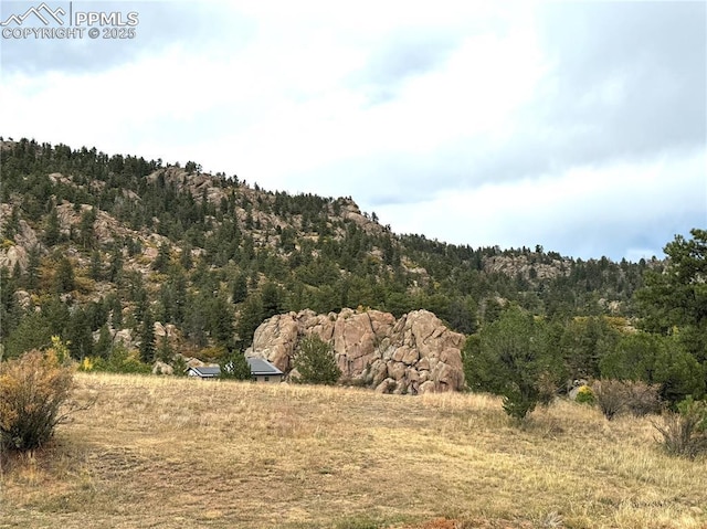 view of local wilderness