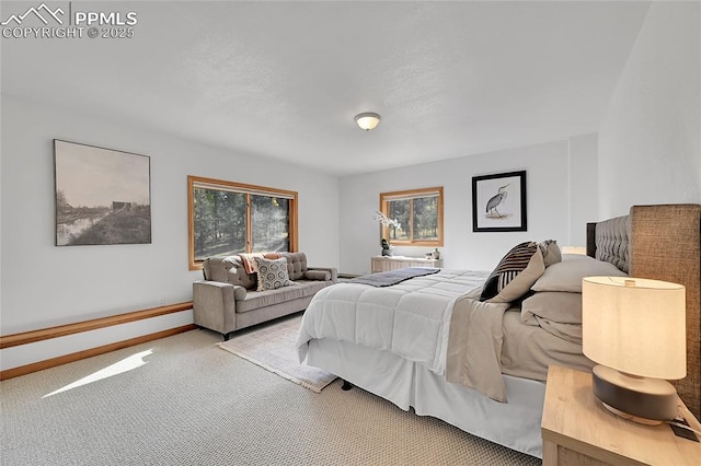 view of carpeted bedroom