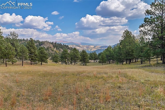 view of local wilderness with a rural view and a mountain view