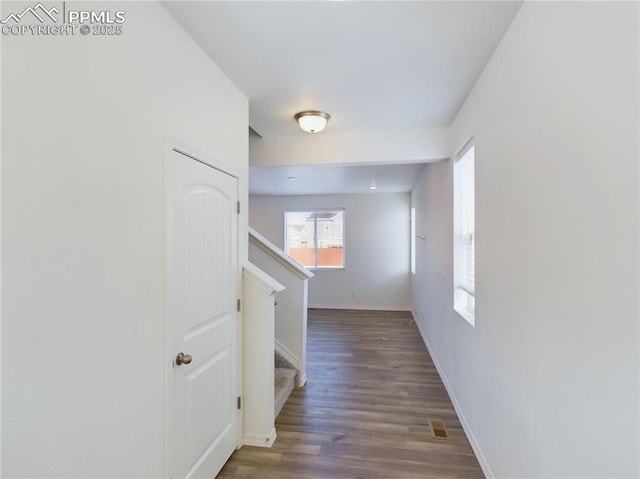 corridor with dark wood-type flooring