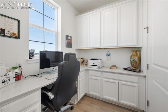 office area featuring light wood-type flooring