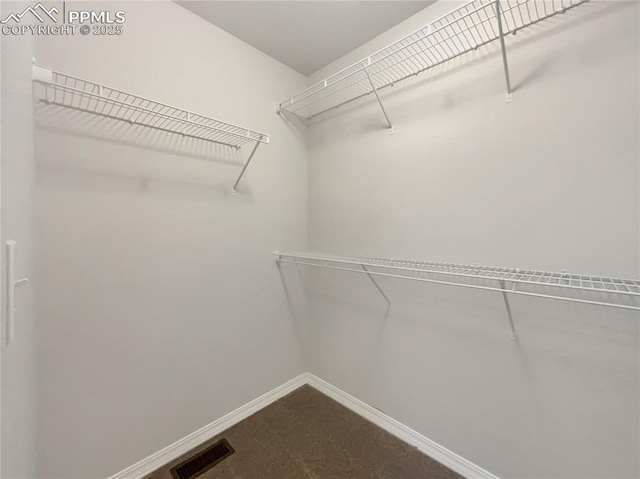 view of walk in closet